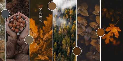 Mabon in the Moss \u2728\ufe0f\ud83c\udf42 A Celebration at the Autumnal Threshold 