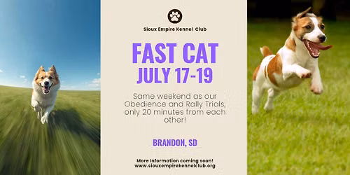 Fast Cat