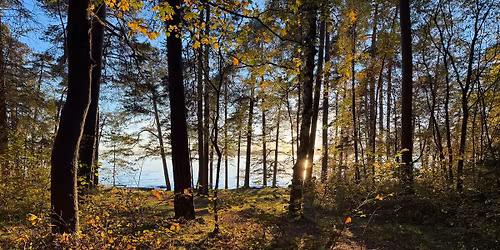 Ung sanker: Beredskap og overlevelse i naturen (15-30 \u00e5r)