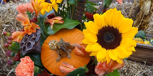 Pumpkin Floral Arrangement