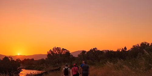 Parco di Molentargius al tramonto: tra saline e zone umide