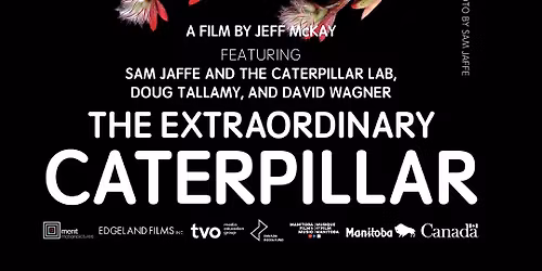 The Extraordinary Caterpillar