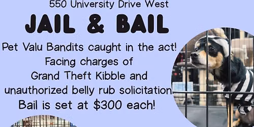\ud83d\udea8Jail & Bail \ud83d\udea8