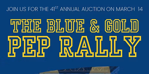 Madeira Schools Foundation Annual Auction