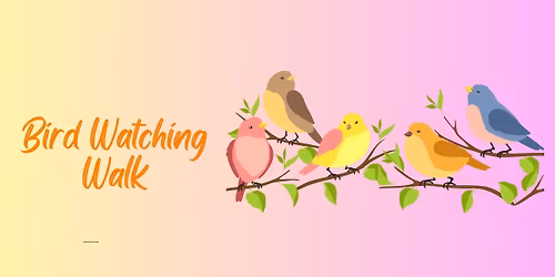 Bird Watching Walk nature program