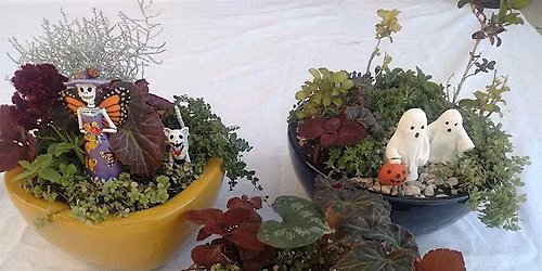 Making Halloween Mini Gardens!