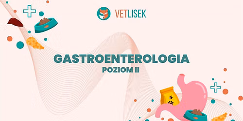 Gastroenterologia II