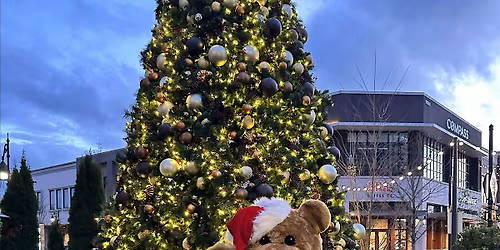 Teddy Bear Tea Party