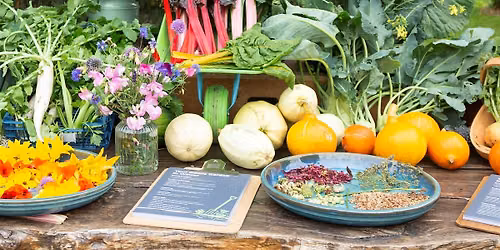 Dementia Friendly Garden Social - July