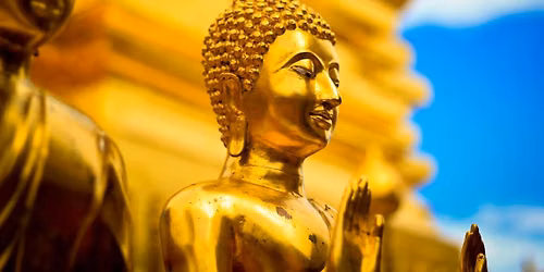 Meditative, Daylong Retreat with Diane Wilde - Hybrid