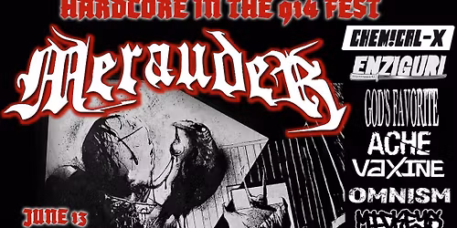 HARDCORE IN THE 914 FEST