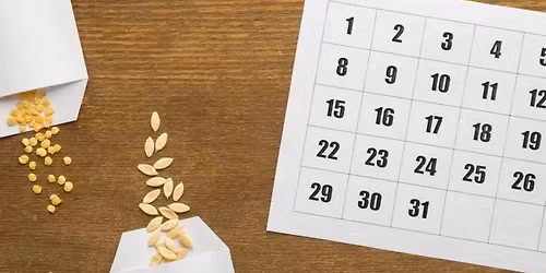 Hvordan planlegge et hage\u00e5r ved Tommy T\u00f8nsberg