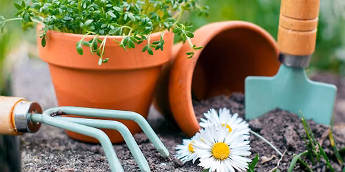 Gardening for Wellbeing