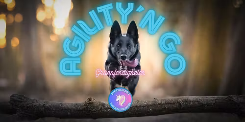 Agility\u00b4n go - grunnferdigheter 