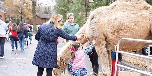 Live Nativity & Christmas Show