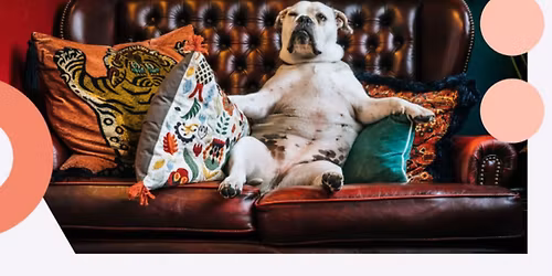 It\u2019s a Please Leave By 10PM New Years Party