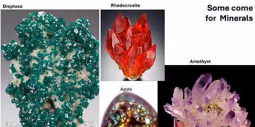 Tallahassee Gem Show