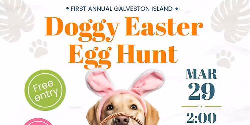 Doggy Easter Egg Hunt