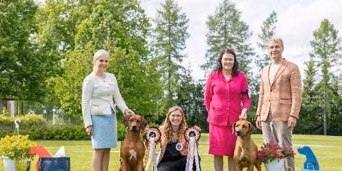eRRkkari 2026