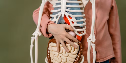 F\u00f6rel\u00e4sning: Kostfiber, tarmh\u00e4lsa och reumatism