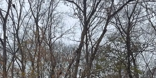 Walk a Mile Wednesday