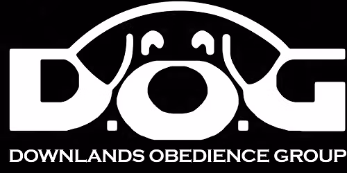 Capped Novice to C Obedience Show