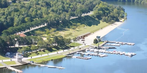 D\u00e9couverte des plantes sauvages \u00e0 Saint-Victor sur Loire