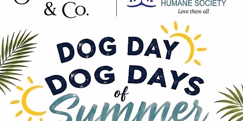 Dog Days of Summer Event with Suncoast Humane Society