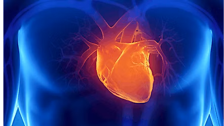 ACLS Provider + BLS Provider Certification - July 14 & 15