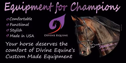 BLACK BOOK HORSE SALE IN HARRISBURG