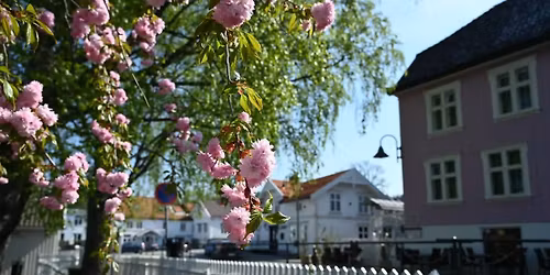 Hva skjer med Son? Folkem\u00f8te om ny kommuneplan