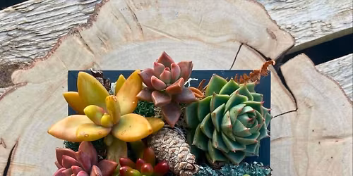 Living Art Workshop
