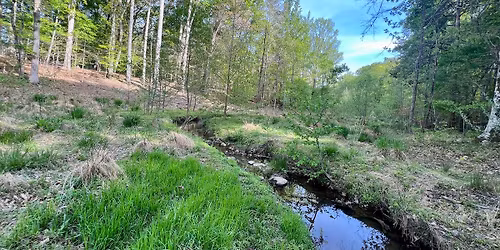 Day of Mindfulness In the Heart of Reedy Creek Park
