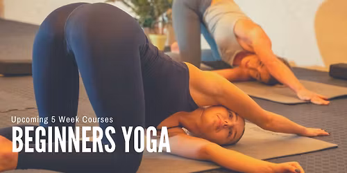 Beginners Yoga - 5 Week Course