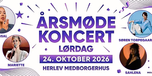 \u00c5rsm\u00f8de - Koncert, fest og f\u00e6llesskab