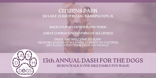Dash for the Dogs