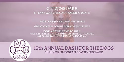 Dash for the Dogs