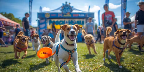 Pooch-A-Mania