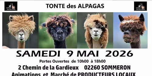 TONTE des ALPAGAS