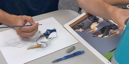 Colors of the Coast: Painting with Natural Watercolors