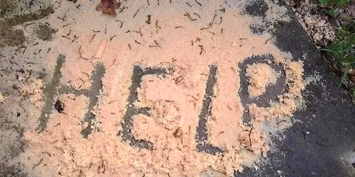 Spring 2026 Volunteers Retreat