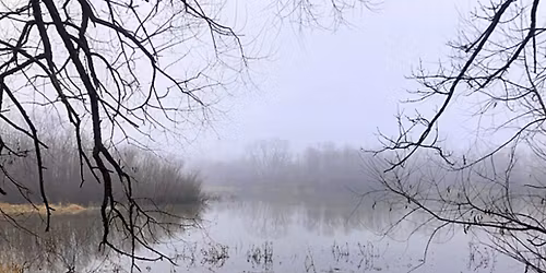 Birding Dulles Greenway Wetlands
