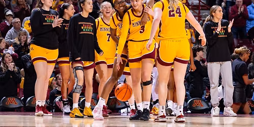 Minnesota Golden Gophers at Iowa Hawkeyes Womens Volleyball