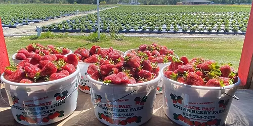 1st Annual Cruise In