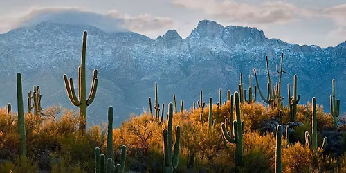 Casa Grande 4 Wheelers April Meeting