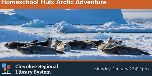 Homeschool Hub: Arctic Adventure