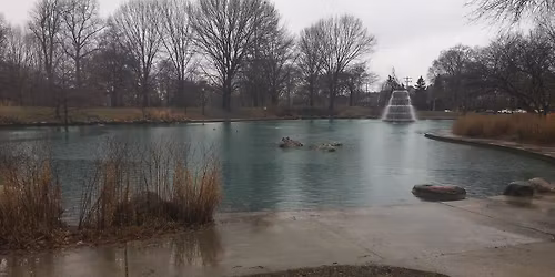 Poet Trees Meet-Up (December)