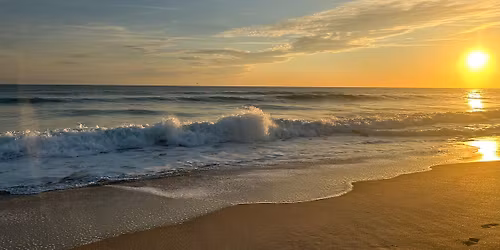 Seashore 101 (Apollo District)