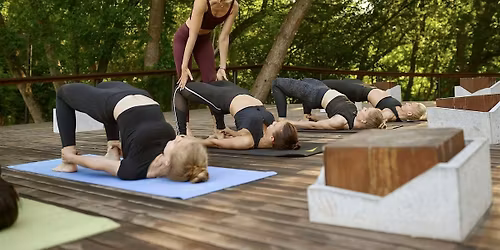 Yoga - Christmas energy by connecting with nature