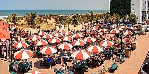 Mo Rhythm Live at Coconuts Beach Bar & Grill
